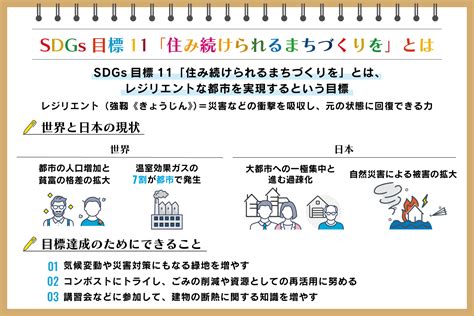 sdgs11 取り組み事例 世界|SDGs 11「住み続けられるまちづくりを」現状、解決。